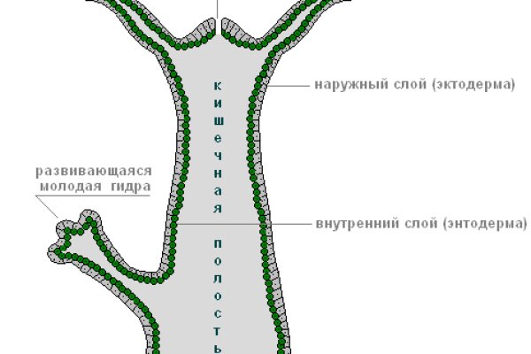 Кракен наркологический