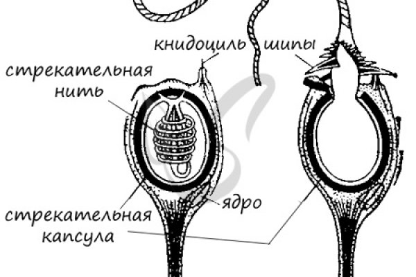 Сайты наркоты